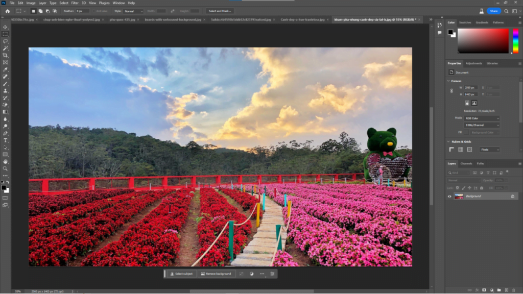 AI Photoshop 2023 Là Gì? Các Tính Năng Generative Fill Của AI Photoshop (Beta)