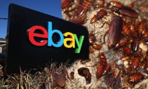 Nhân viên gửi gián sống cho khách, eBay bị phạt 3 triệu USD